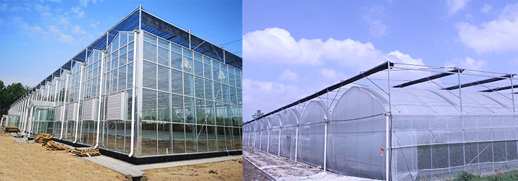 Steel structure greenhouse manufacturer