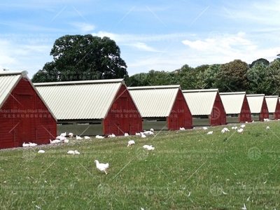 Chicken house design