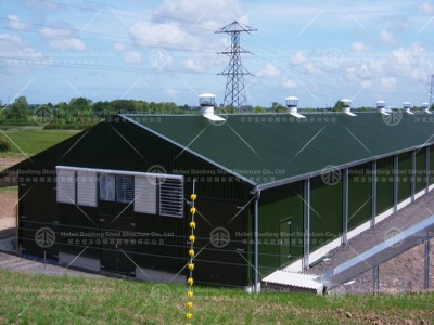 Chicken house design