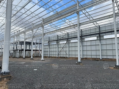 steel structure building